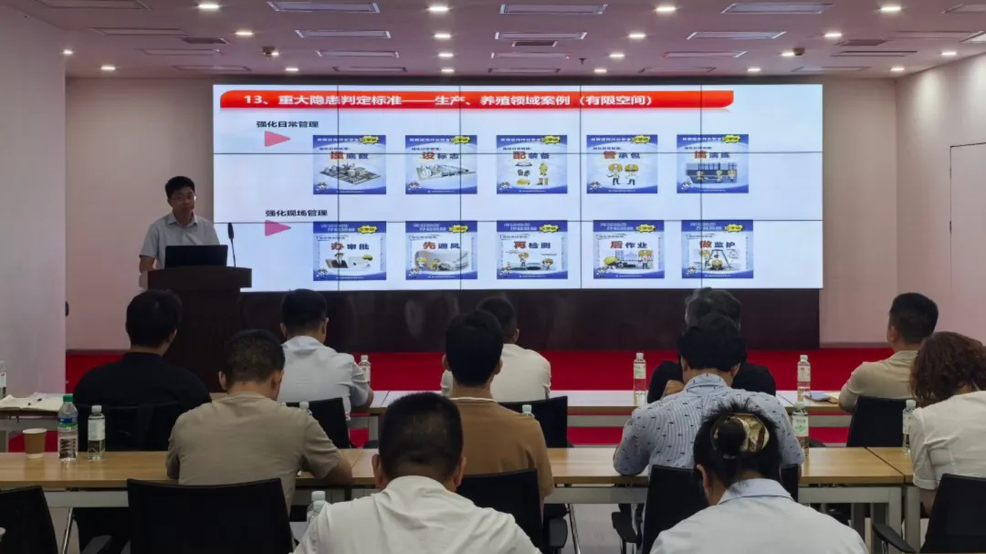 2.webp.png